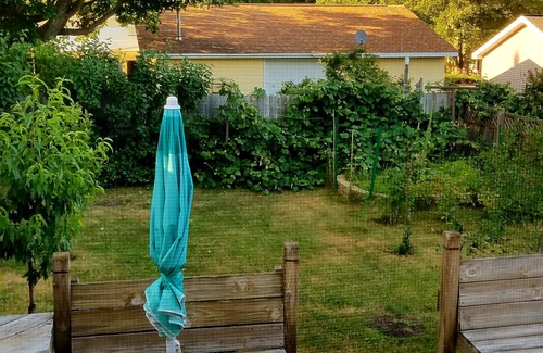 Marquette House | Discover Lil' Casa Marquette!