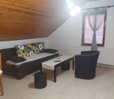 Soko Banja Apartment | Djokić 2 sa bazenom