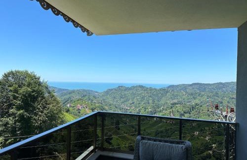Cayeli Villa | Doğa İle İç İçe Eşsiz Manzaralı Villa