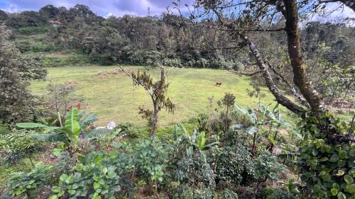 Kalakandur House | Doddakallu Betta Homestay Coorg