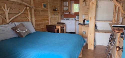 Cedaredge Cabin | Dog Friendly Room with a Queen Bed and Kitchenette at the Cedaredge Lodge