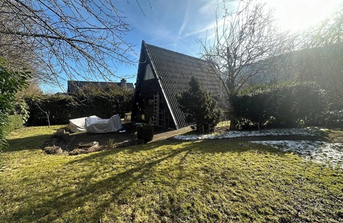 Frenkhausen House | Dog vacation at the Erlenwald nature reserve - the FieneHaus
