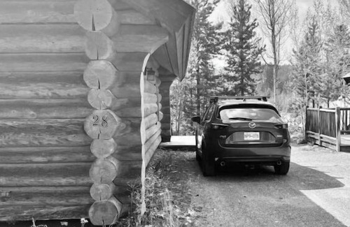 Lac Le Jeune Cabin | Dogs love our cabin in Lac Le Jeune close to lake