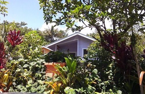 Kehena Beach Estates Cottage | Dolphin Cottage w/AC @ Kehena Beach, Hawaii