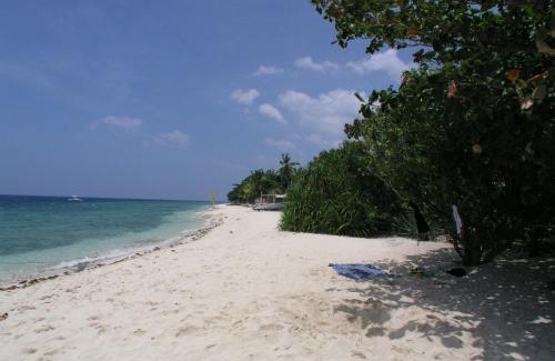Moalboal Resort | Dolphin House Resort Moalboal
