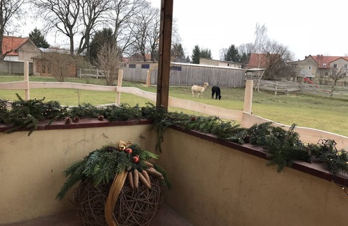 Radisleben House | Domänenhof farm