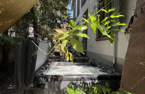 Guebwiller Apartment | Domaine Bohème I Charming 3 bedrooms with private GARDEN & JACUZZI