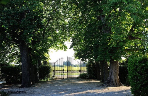 Violes House | Domaine de l'Odylée, in the heart of the vineyards, ideal for family reunions and seminars.