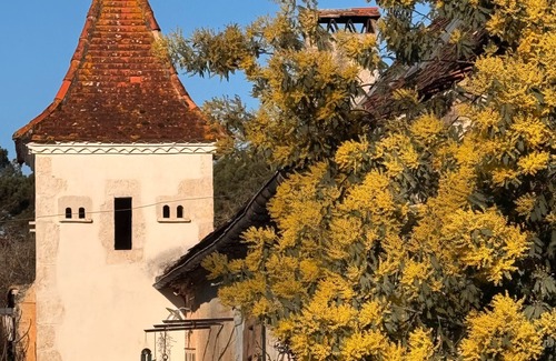 Issac House | Domaine de La Contie – 17th-Century Chartreuse in the Heart of 20 Hectares of Nature