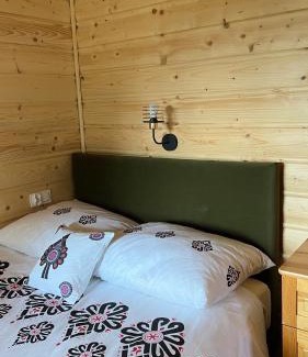 Nowy Targ Ski Chalet | domki w górach