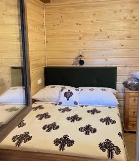 Nowy Targ Ski Chalet | domki w górach