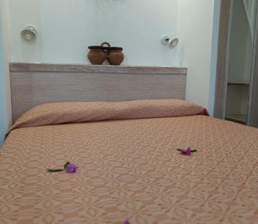 Castiadas House | Domu Speciosa