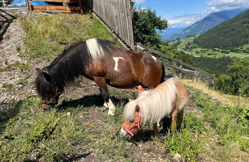 Arzl im Piztal Apartment | Doppelzimmer Tschirgant Ohne Verpflegung - Apart Alpenzeit