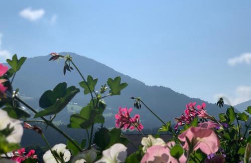 Reith im Alpbachtal Apartment | Dorfjuwel Alpbachtal