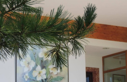 Oberau House | Double room - Gasthof Schneerose