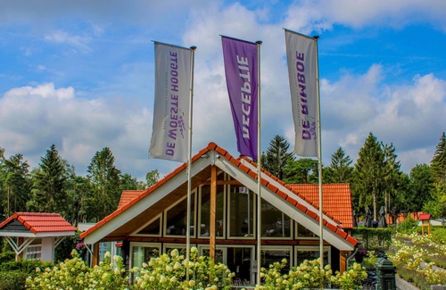 Bosgebied Hoenderloo House | Douglas by Interhome