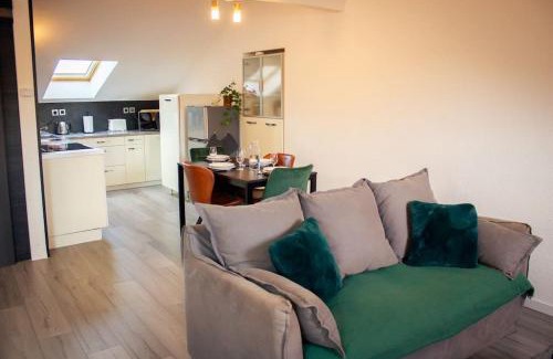 Albertville Apartment | Doux cocon - Grand studio de douceurs