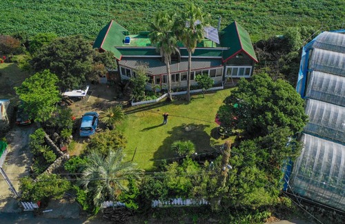 Aewol House | Dove house