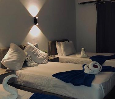 Downtown Cairo Hotel | Downtown Cairo Calma
