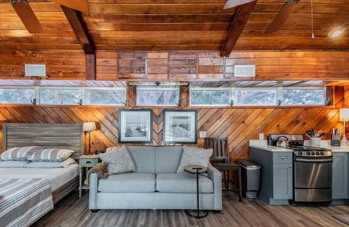 Dunedin Apartment | Downtown Dunedin B&B - Rustic Cabin with Pool