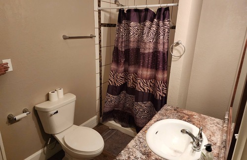 Sidney Condo | Downtown Sidney Loft close to the fun. Renovated historical building with a view
