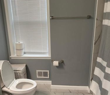Greektown House | Downtown upper canton 3 bdrm 3 bath home with rooftop and parking pad