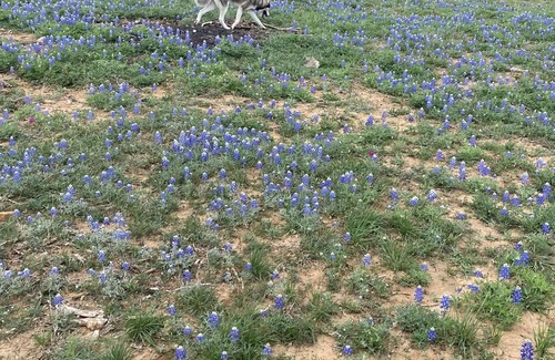Llano RV Rental | Dry Camp! Solar Eclipse!