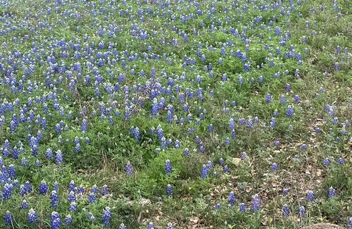 Llano RV Rental | Dry Camping! Solar Eclipse! Bring your tent!