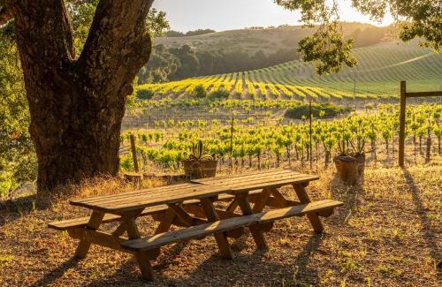 Paso Robles House | Dunning Ranch Guest Deluxe