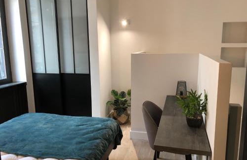Cholet Apartment | DUPLEX COSY HYPER CENTRE CHOLET