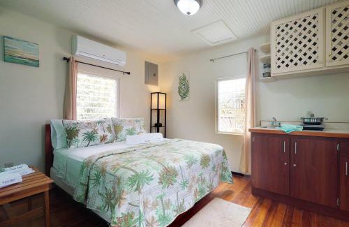 Caye Caulker Hotel | DV #2 at DV Cabanas -Gold Standard Certified