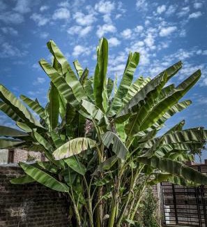 Khajuraho House | Eastern Gate Homestay