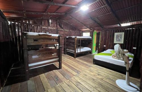 Pereira Hotel | Eco Hotel Green Eden