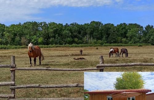 Vendays-Montalivet House | eco nature, gite à la ferme