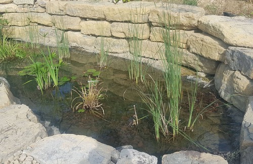 Flayosc Cottage | Ecological gite with natural swimming pool