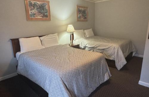 Alfred Station Hotel | Economy Inn