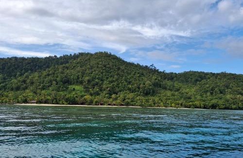 Mansuar Island House | Eddo Homestay