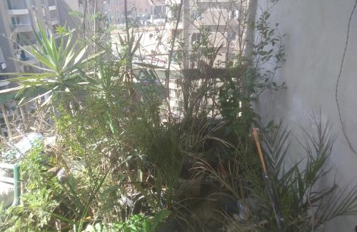 Monshat Nasr Apartment | Egypt unique flat
