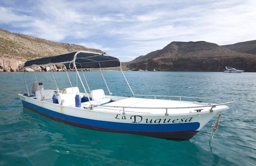 La Paz Boat Rental | El Duque Adventures In The Sea Of Cortez And Beyond