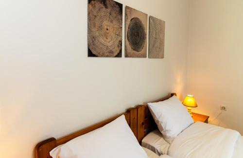 Elatochori Apartment | Elation Rooms