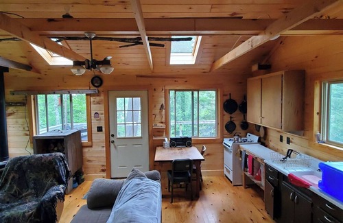 Orr Cabin | Elbow Lake Cook, MN. Boat to private cabin retreat !