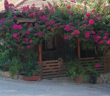 Sivota Apartment | Elena’s House Sivota Lefkadas