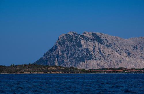 Puntaldia Apartment | Eliana Yacht & Golf Puntaldia