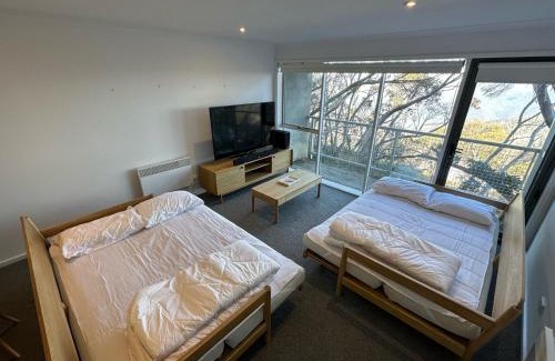 Mount Buller Apartment | Elkhorn 2 AMS Mt Buller