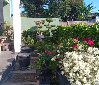 Banyuwangi Villa | eLvira Homestay