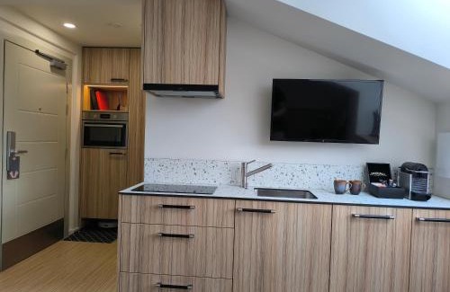 Vilnius city municipality Apartment | Embassy Studio 303