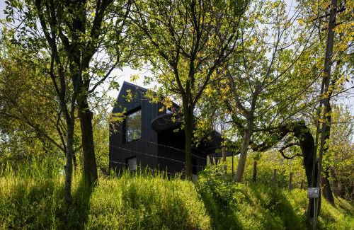 Baiculesti Ski Chalet | Enache's 217