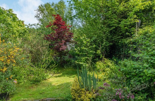 New Forest District Cottage | Endymion