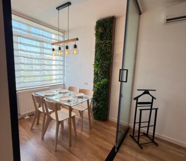 Oradea Apartment | ENE Studio