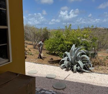 Curacao House | Energia di Trupial